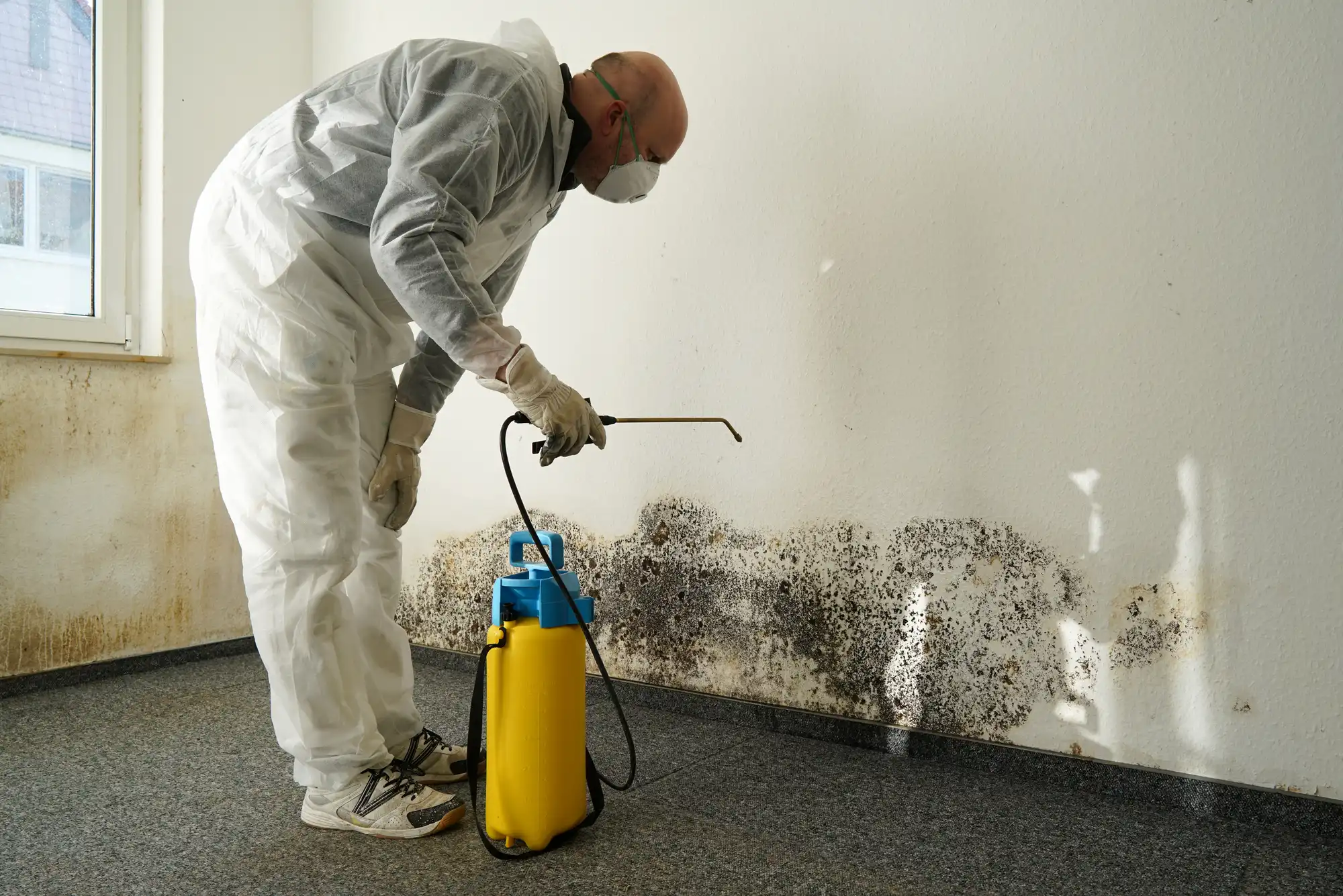 Asbestos Removal & Testing Lead Removal & Lead Testing NJ, NY, PA, CT