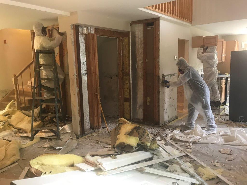 Mold Testing & Removal in Toms River NJ