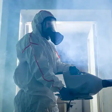 Mold Removal & Remediation