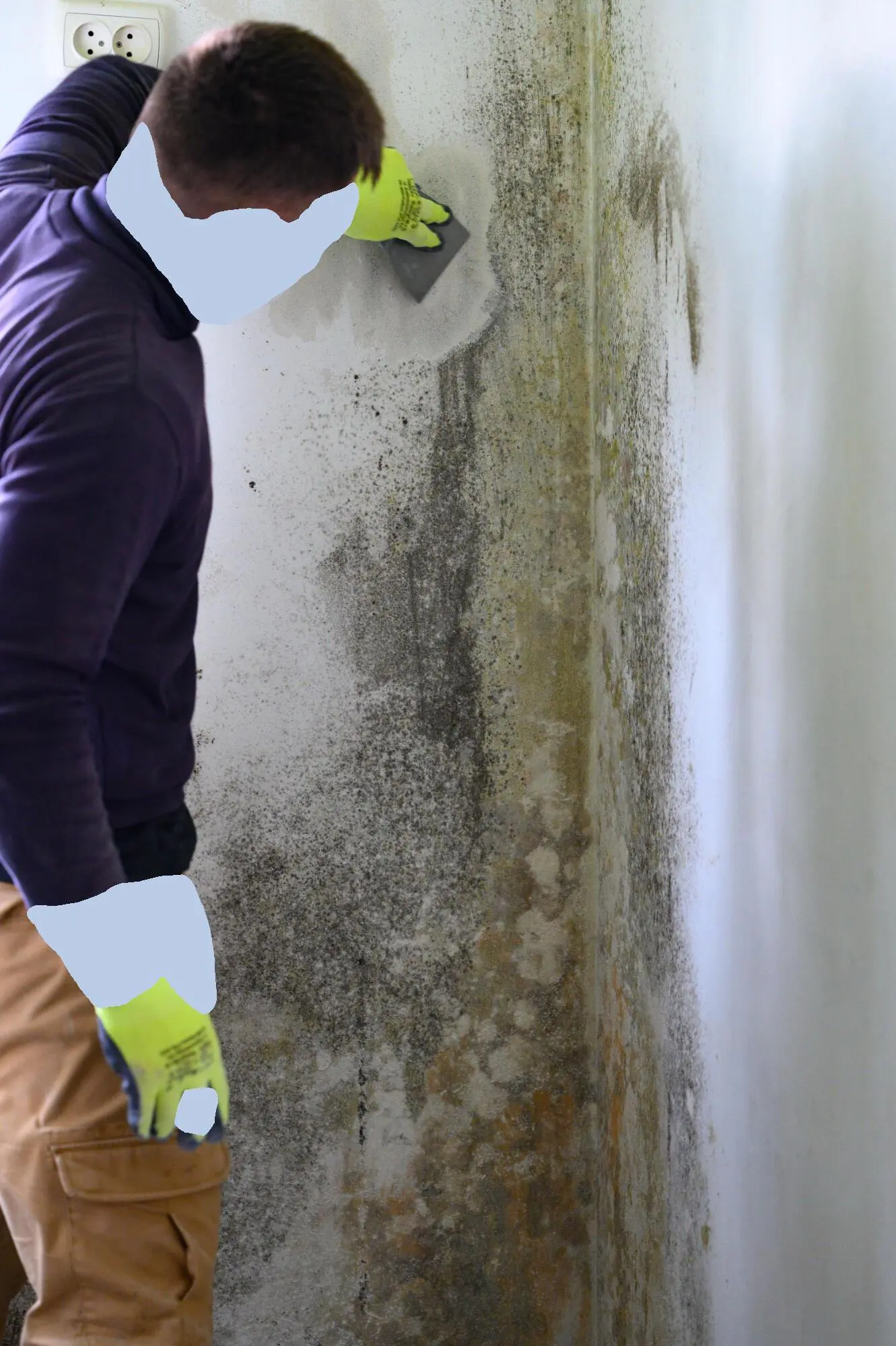 From Detection to Decontamination: Mold Testing and Removal Explained